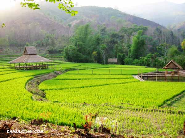 Chương trinh Hoa Lư - Tam Cốc