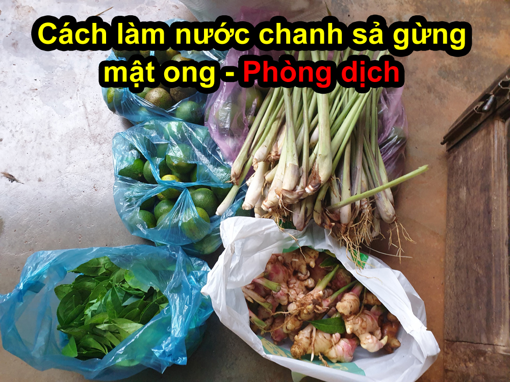 Cách Làm Nước Uống Mật Ong, Chanh, Xả, Gừng tăng sức đề kháng - Phòng dịch covid