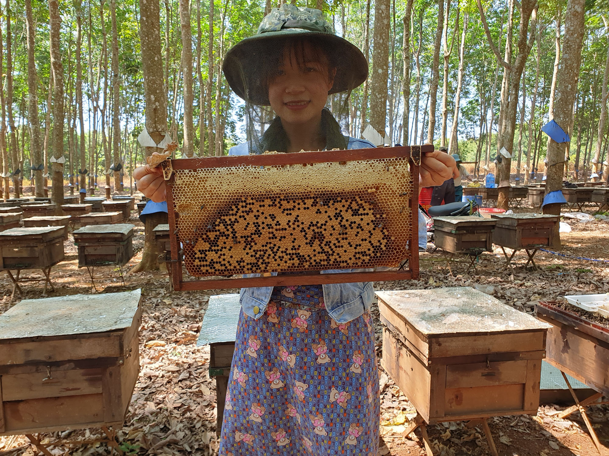 MUA MẬT ONG NGUYÊN CHẤT UY TÍN Ở ĐÂU???