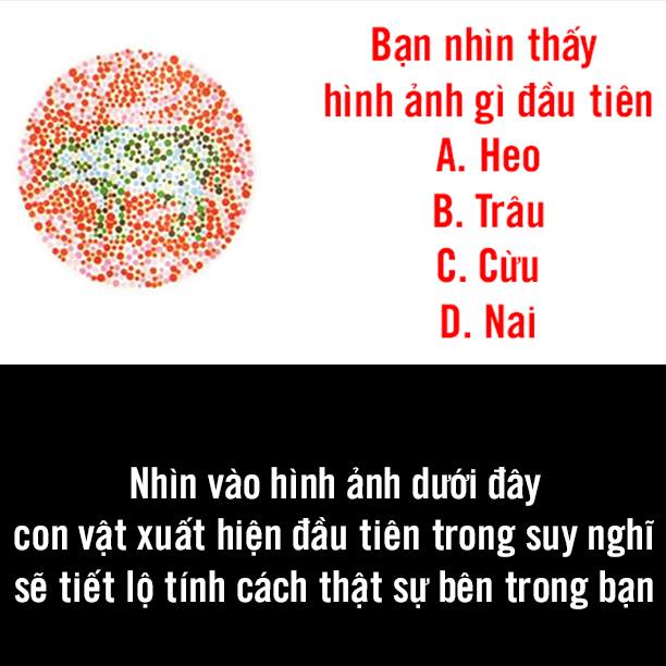 Trắc nghiệm hình ảnh: Tính cách thật sự của bạn là gì?