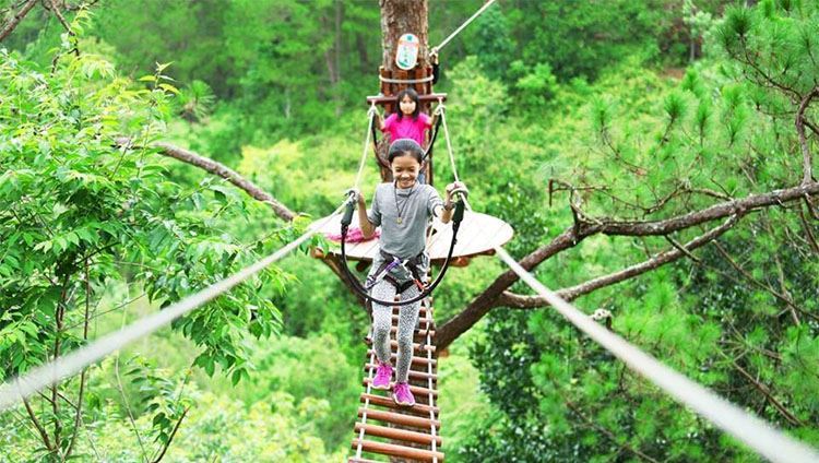 Hành trình mạo hiểm High Rope Course Đà Lạt