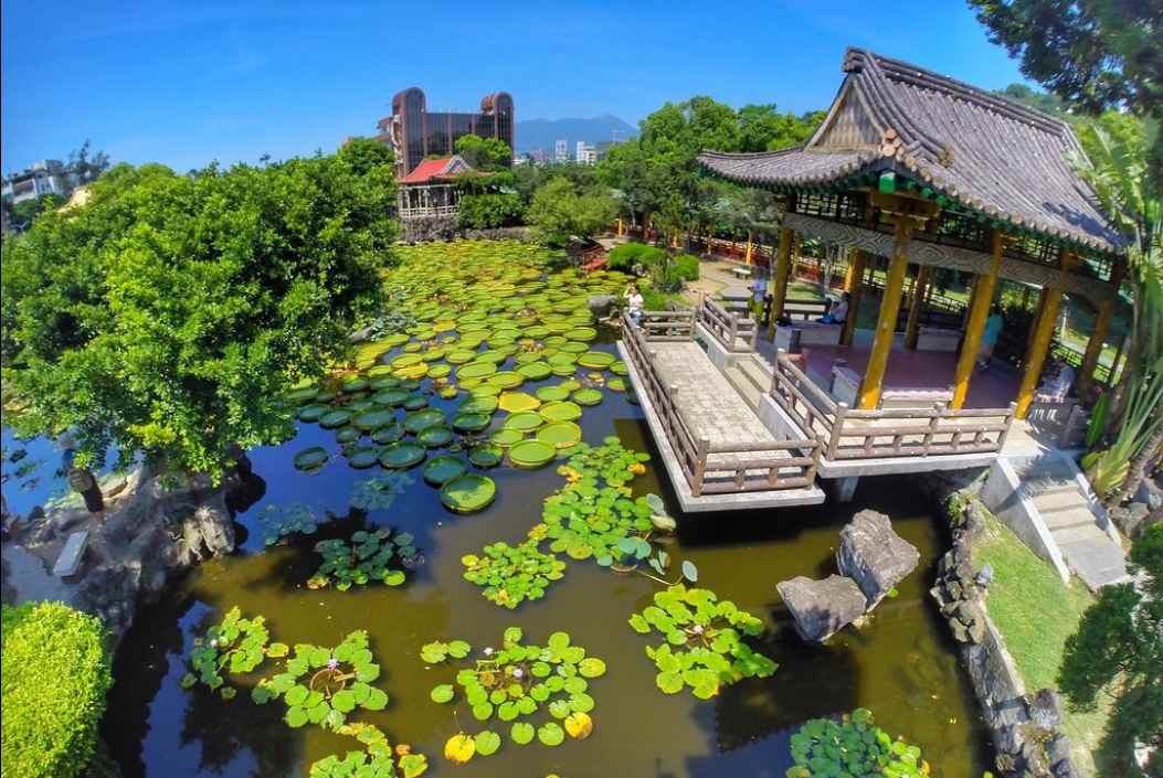 Đài hoa súng khổng lồ ở Đài Loan