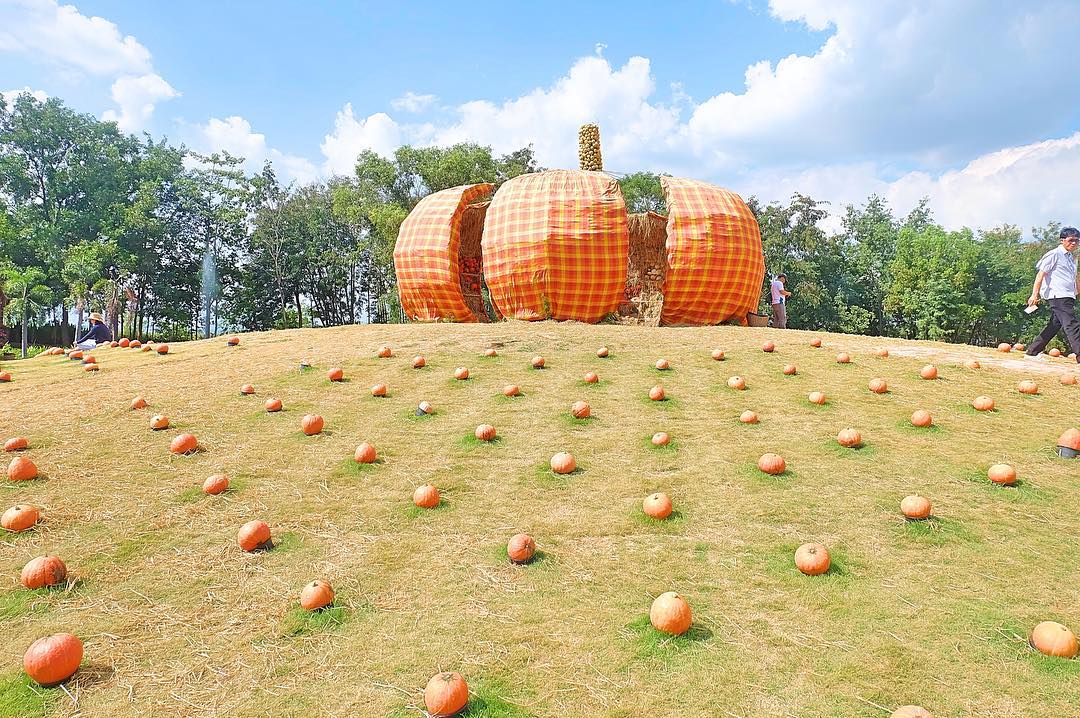 Phát cuồng trước 5 trang trại "Ngon - độc - lạ" để bạn sống ảo ở Đà Lạt