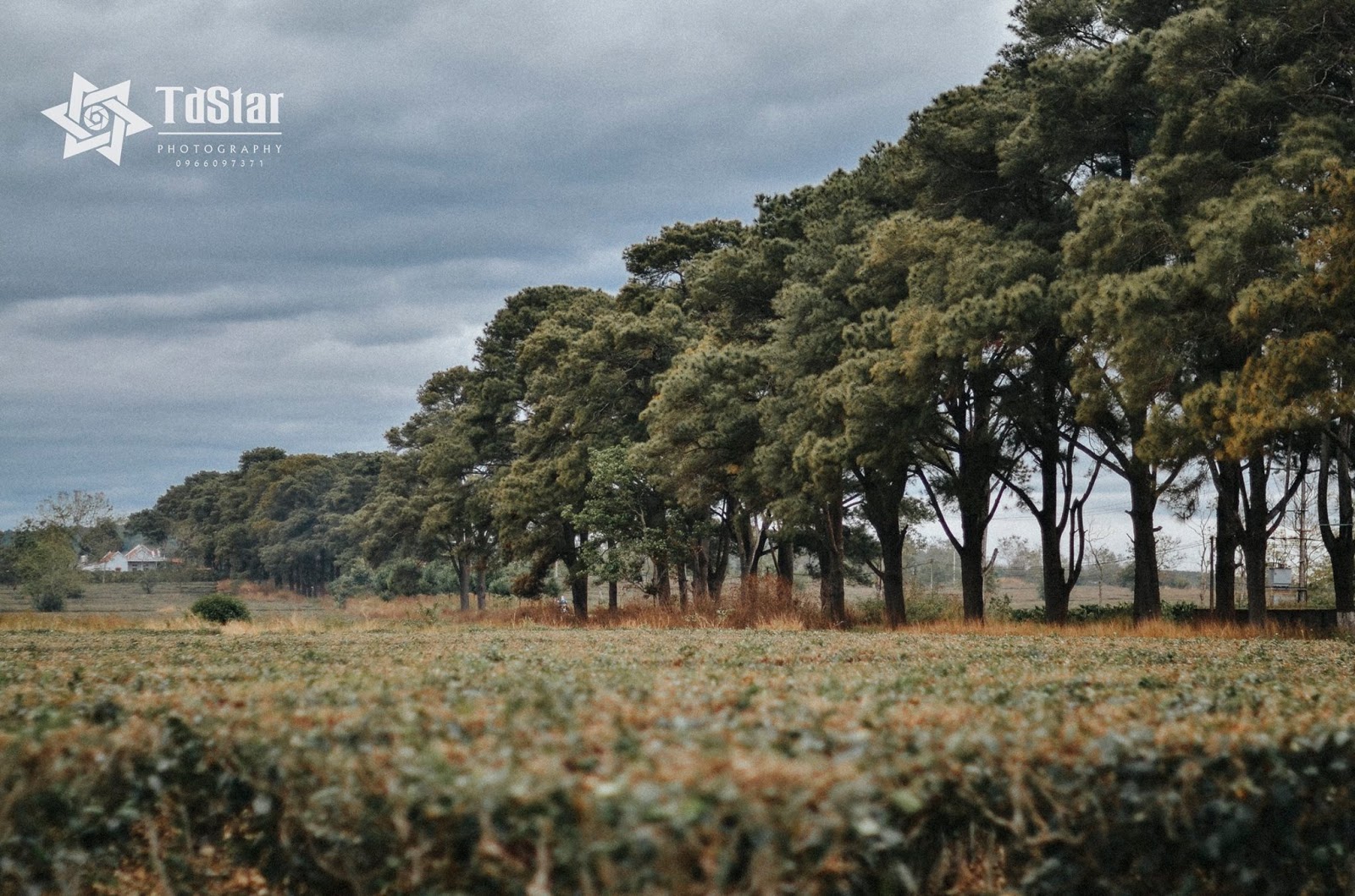 Đến Phố Núi đừng quên những địa điểm ngỡ trời Tây chuyên dành sống ảo