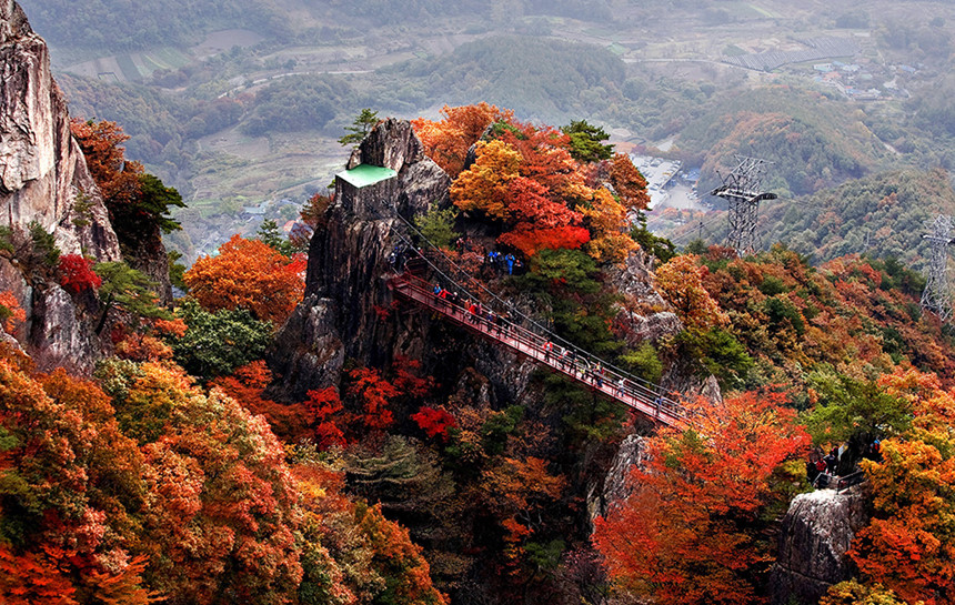 Những địa điểm check-in với lá phong tuyệt đẹp tại châu Á