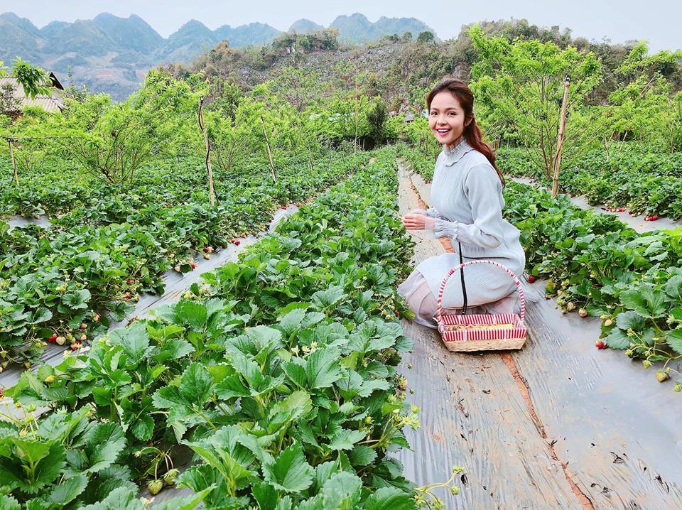 Du lịch nông trại hút khách tham quan, khám phá