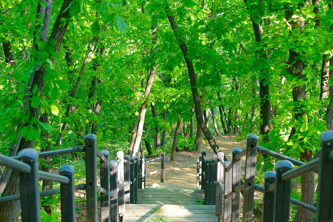 5 ngọn núi ở Hàn Quốc đẹp như tranh vẽ gây thương nhớ mọi du khách