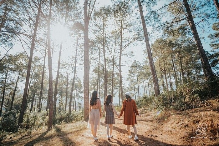 Truy lùng 5 phiên bản khác nhau của miền đất thơ Đà Lạt, thật như chính bản gốc!