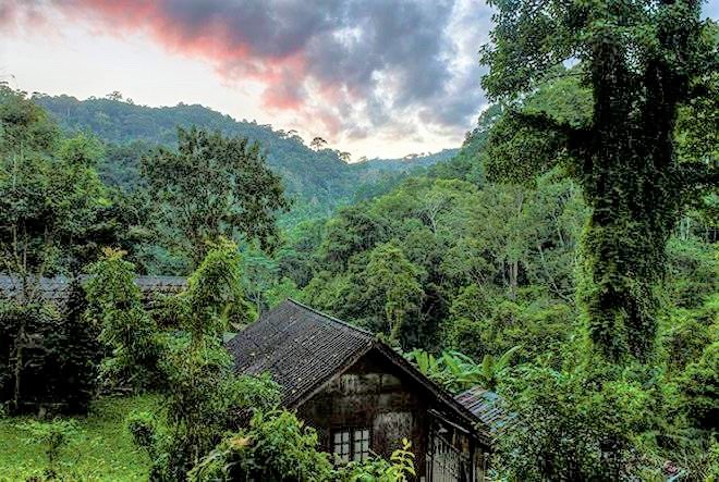 Tận hưởng mùa hè tuyệt vời trên những ngôi nhà trên cây ở Chiang Mai