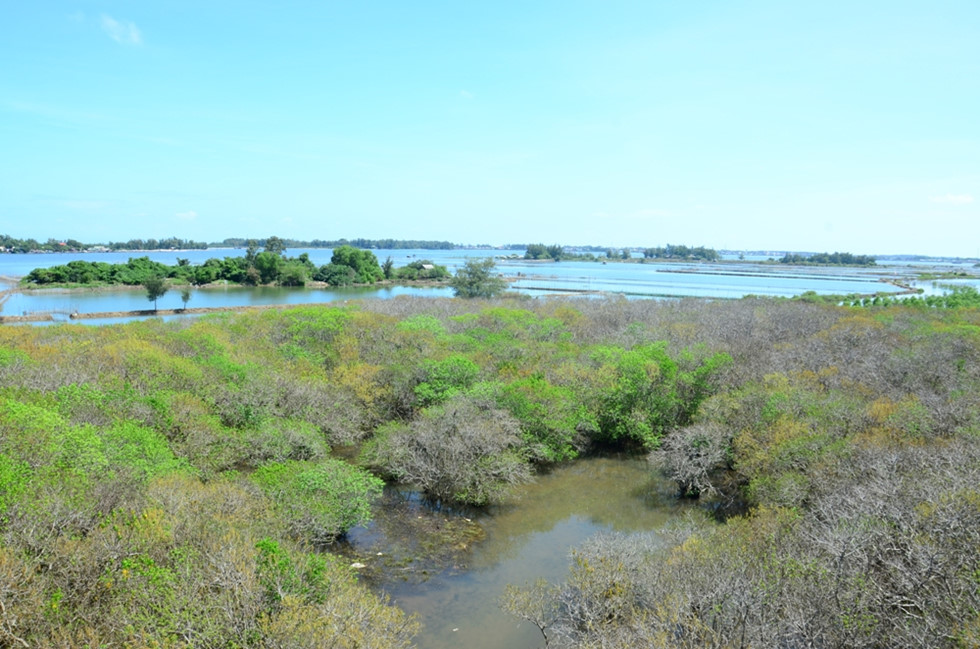 Có một miền Tây ở xứ Huế mộng mơ