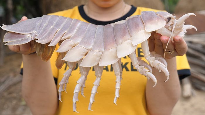 'Xe tăng lội nước' - Món ăn siêu kỳ quặc chỉ dành cho giới nhà giàu