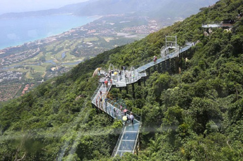 Cầu kính cao 450 m xuyên rừng ở Trung Quốc