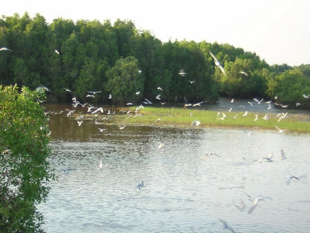 Vị Thủy – Nét đẹp dân dã miền Hậu Giang