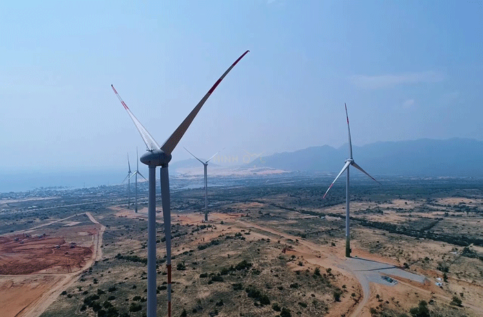 4 cánh đồng quạt gió ở Việt Nam được giới trẻ săn lùng