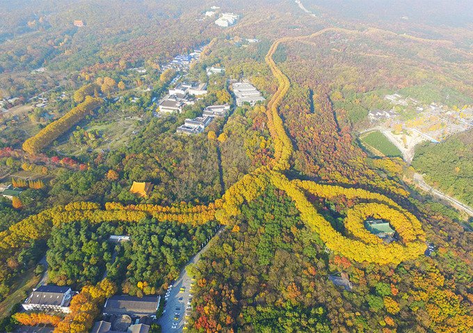 Cung điện hình viên ngọc mang tên Tống Mỹ Linh ở Trung Quốc