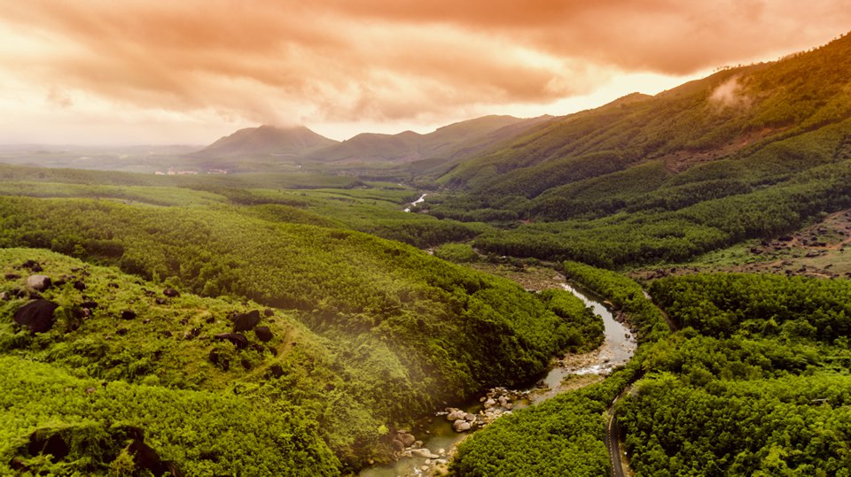 Cung đường lên núi thần tài rực rỡ sắc hoa
