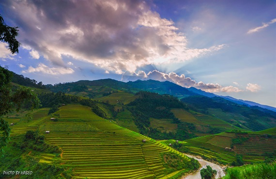 Ngây ngất sắc màu Mù Cang Chải
