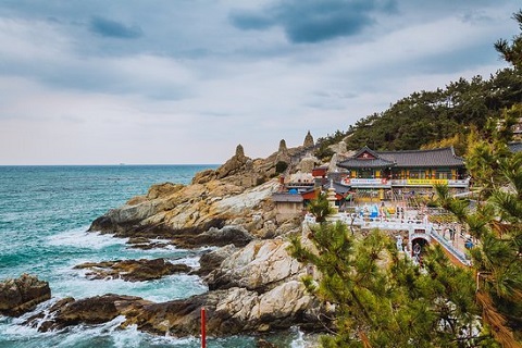 Tiết lộ 10 hoạt động giải trí miễn phí ở Busan Hàn Quốc mùa hè này