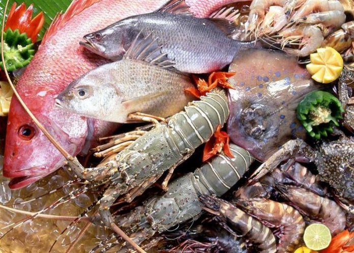 7 món hải sản Cửa Lò Nghệ An ngon nức tiếng