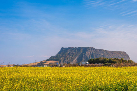 Tới Hàn Quốc đừng dại bỏ lỡ những điểm đến mát xanh này