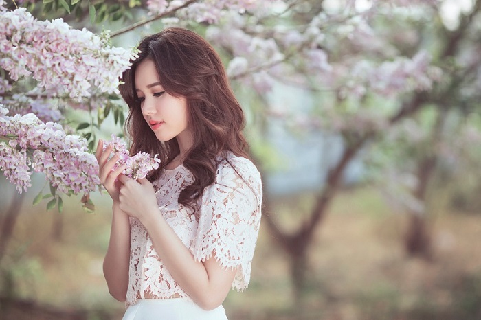Vẻ đẹp hoa đỗ mai ở Vũng Tàu đẹp tựa bức tranh anh đào Nhật Bản