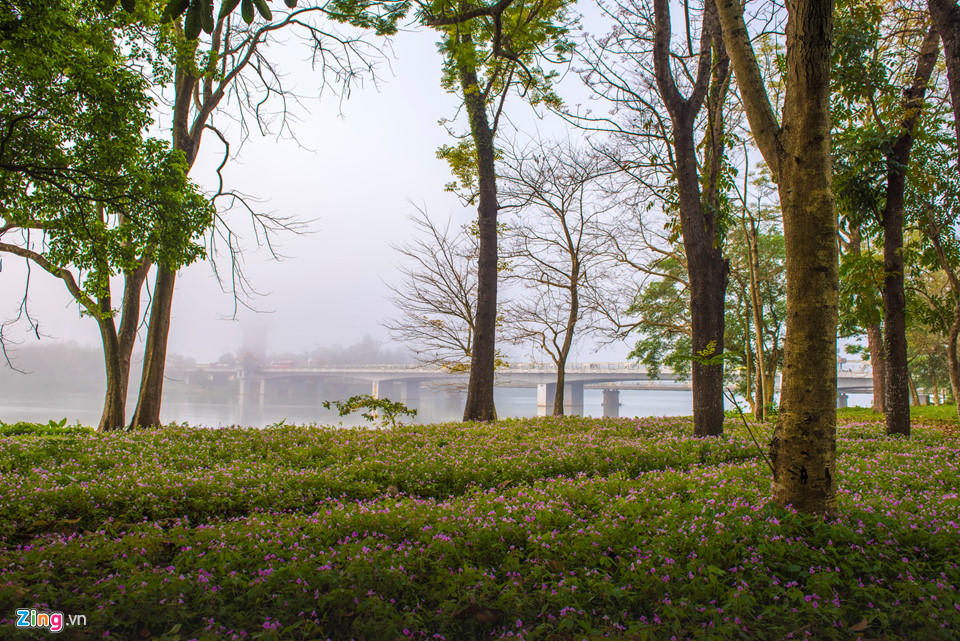 Những khoảnh khắc giao mùa lãng mạn ở cố đô Huế