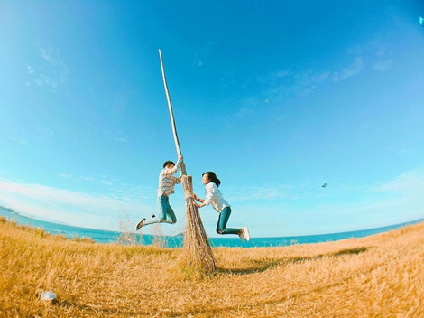 Khám phá cánh đồng chổi lạ lùng như trong phim Harry Potter ở Đài Loan