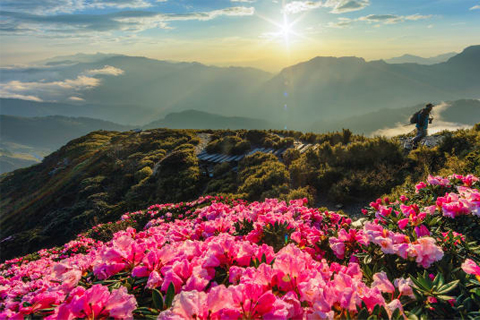 Khám phá Đài Loan – Những điểm đến đẹp tựa như mơ