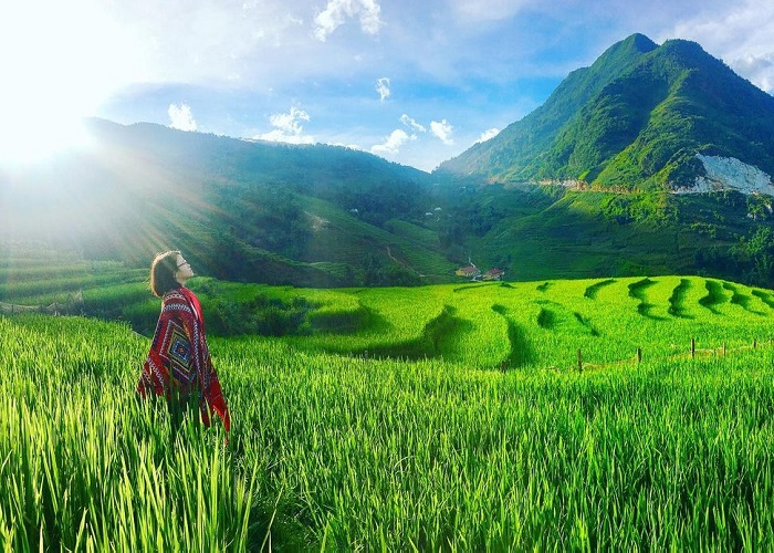 'Ghim ngay' kinh nghiệm đi Bản Tả Phìn Sapa cho Tết dương, Tết âm sắp tới!