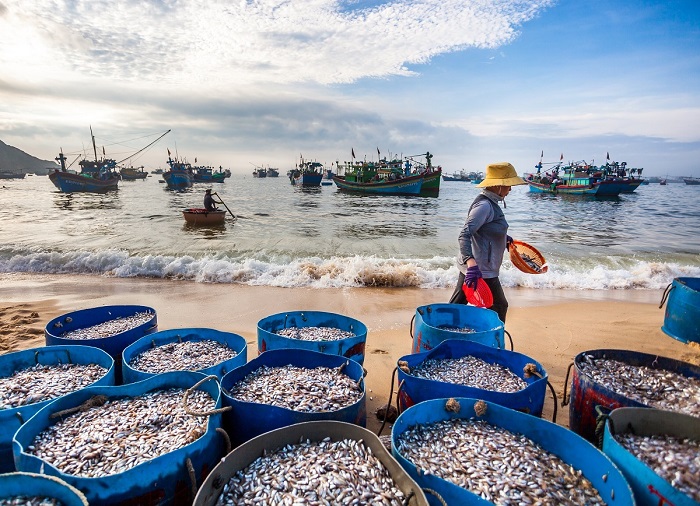 Khám phá 3 làng chài đẹp ít người biết ở Việt Nam