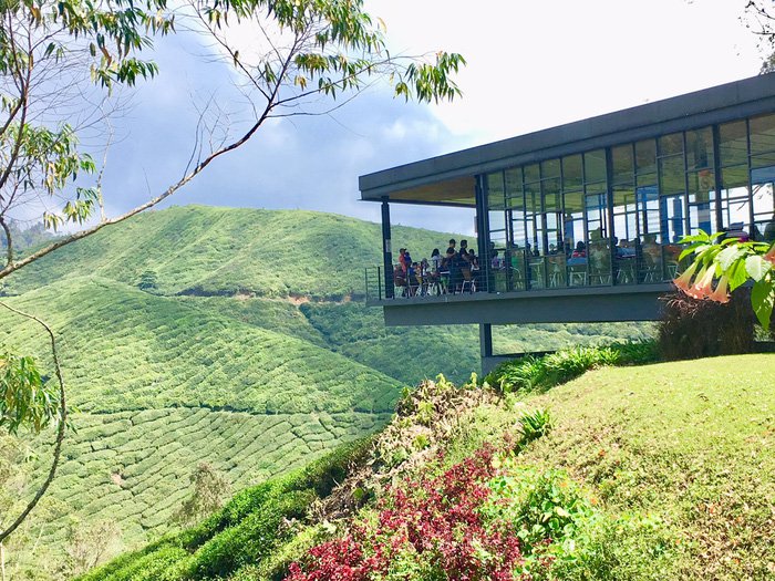 Lên cao nguyên ngắm đồi trà, xuống phố cổ ngắm đèn lồng