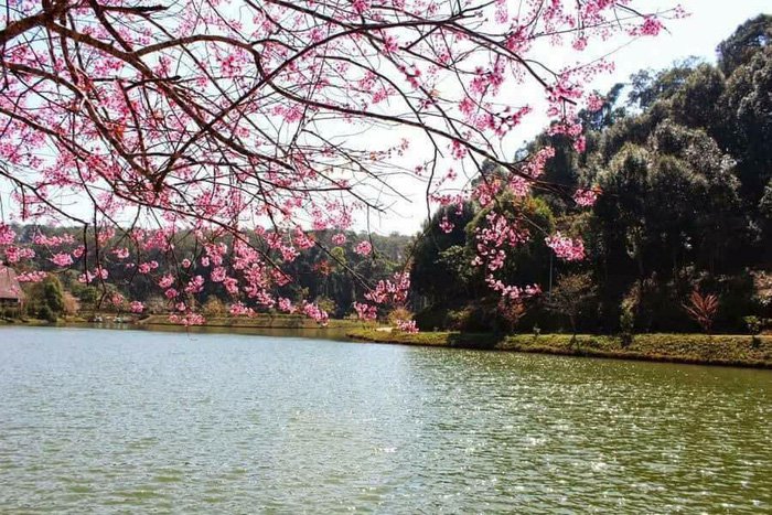 Lời mời gọi của Măng Đen