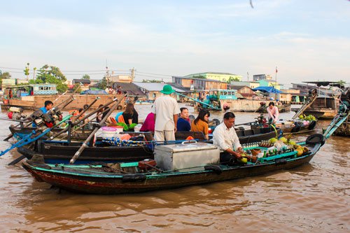 Lưu ý cần nhớ cho chuyến đi miền Tây mùa nước nổi
