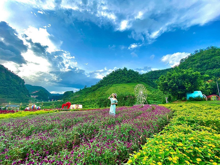 Không chỉ có đồi chè, Sơn La còn có cả một 'ngôi làng cổ tích' Mộc Châu Hobbiton đẹp như tranh