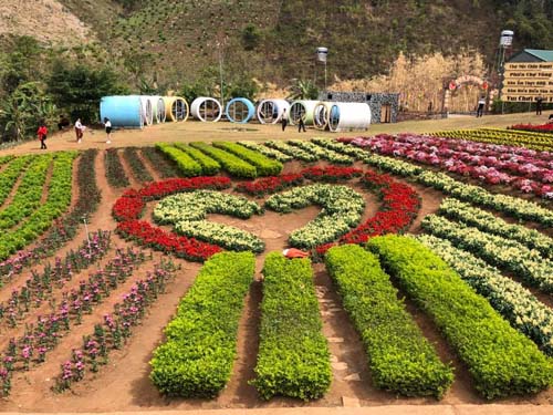 Lên Mộc Châu ngày xuân