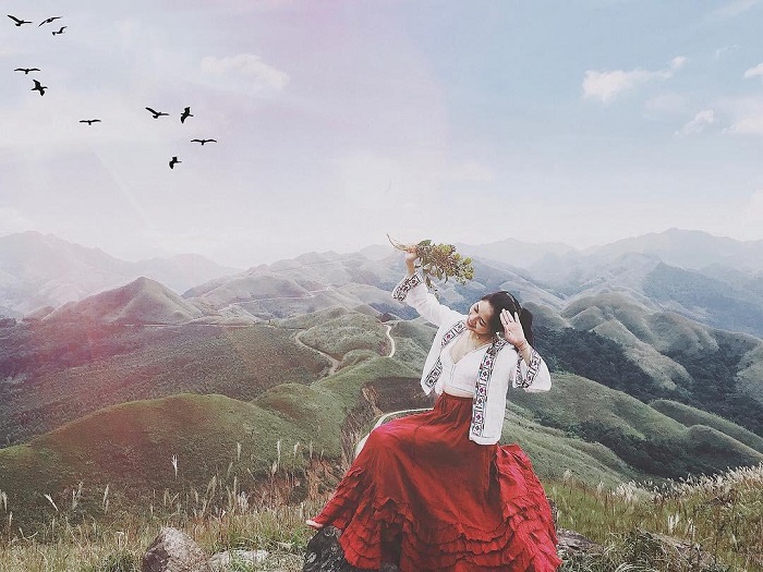 Mùa thu Hàn Quốc đẹp đấy, nhưng mùa cỏ lau ở Bình Liêu còn đẹp hơn!