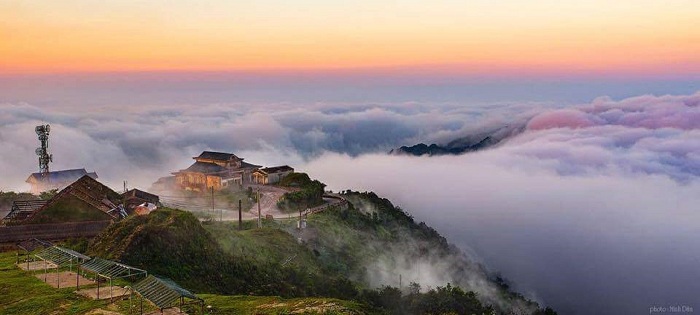 Đỉnh Mẫu Sơn nhuộm thắm hoa đào rừng