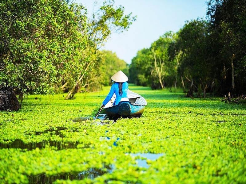 Say lòng trước sắc màu rực rỡ của miền Tây mùa nước nổi khi tiết trời sang thu