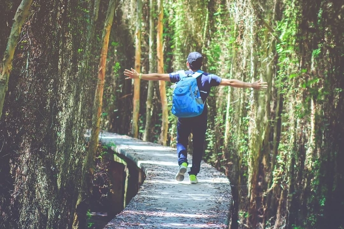 Lạc giữa yên bình trên hai con đường rừng tràm tại miền Tây