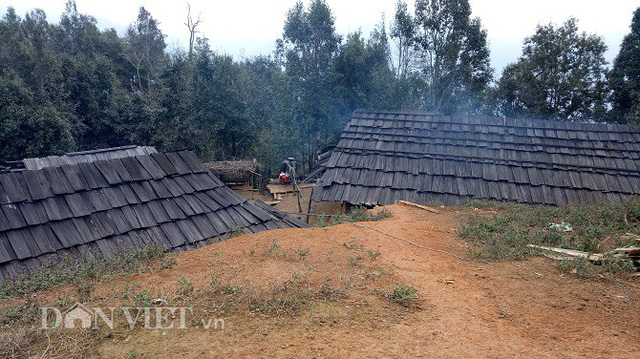 Lạ: Ngôi làng 100% hộ nghèo nhưng nhà nào cũng làm bằng gỗ quý pơmu