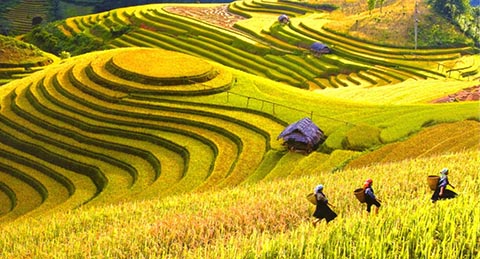 Những trải nghiệm nên thử một lần khi đi du lịch Hà Giang (P2)
