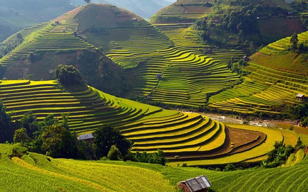 Sapa vào mùa đẹp nhất – Du lịch Sapa tháng 10 nên tham quan những nơi nào?