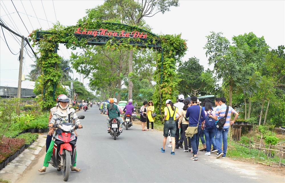 Rực rỡ “thành phố hoa” bên bờ sông Tiền