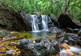 Phú Quốc không chỉ có biển xanh, cát trắng, mà còn có những con suối đẹp như mơ