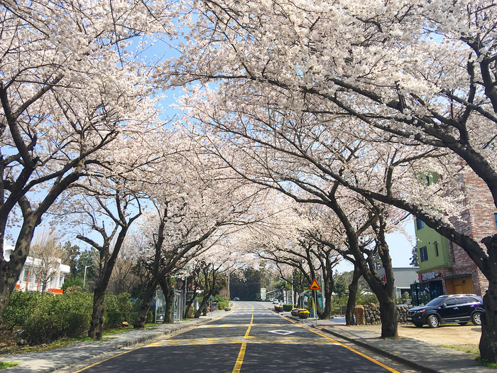 Giờ thì bạn có thể "quẩy tung" khắp các nước châu Á mà chẳng cần tới visa