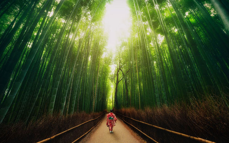 Nét đẹp còn mãi theo thời gian của cố đô Kyoto Nhật Bản