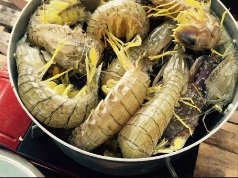 Về Cà Mau thưởng thức tôm tít Năm Căn