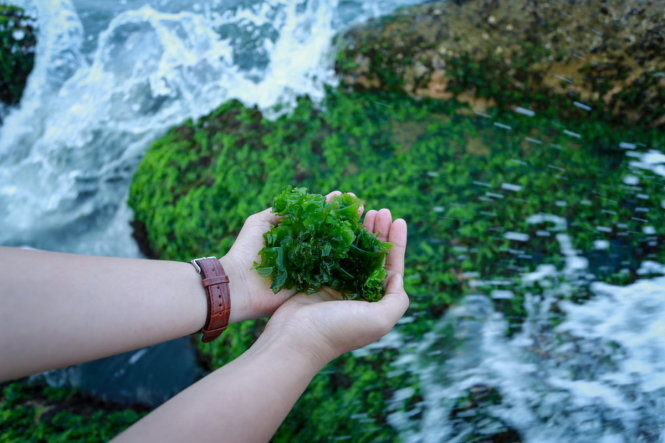 Bạn nghĩ Nha Trang đã quá nhàm chán – đi “ngay và luôn” 5 địa điểm sống ảo mới toanh này!