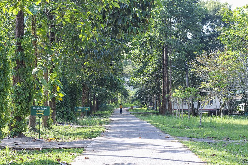 Trở về miền hoang dã Cát Tiên