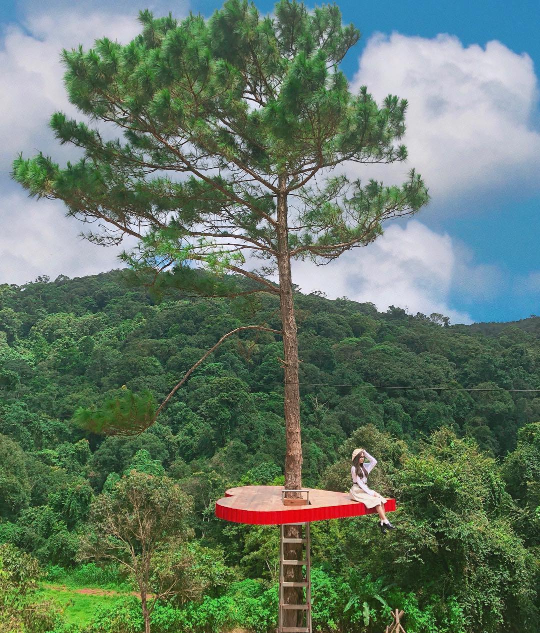 Dân tình truy lùng trái tim lơ lửng trên cây vừa mới xuất hiện ở Đà Lạt